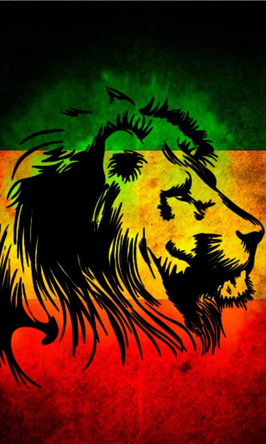 Lion Of Judah Rasta, reggae lion HD phone wallpaper