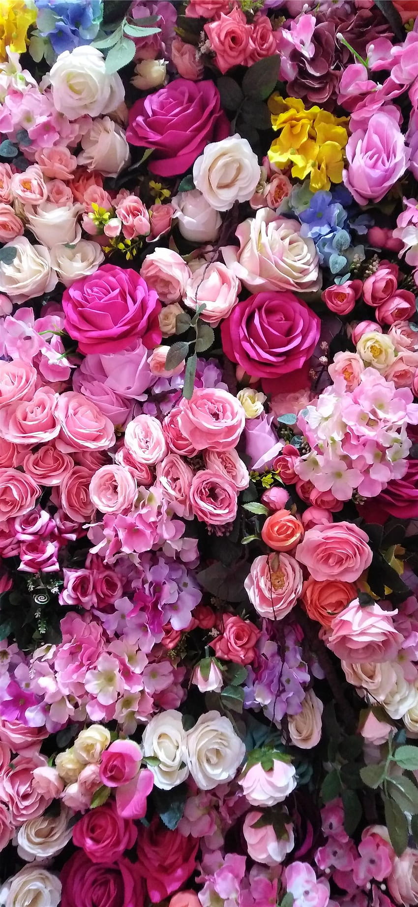 flores rosas de colores surtidos iPhone X, color rosa fondo de pantalla del teléfono