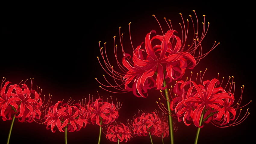 Аниме Red Spider Lily, жълта паякона лилия HD тапет