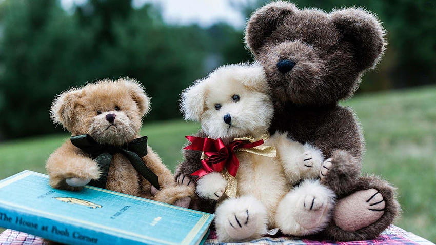 loving2you: Lovely And Beautiful Teddy Bear, of teddy bear HD wallpaper