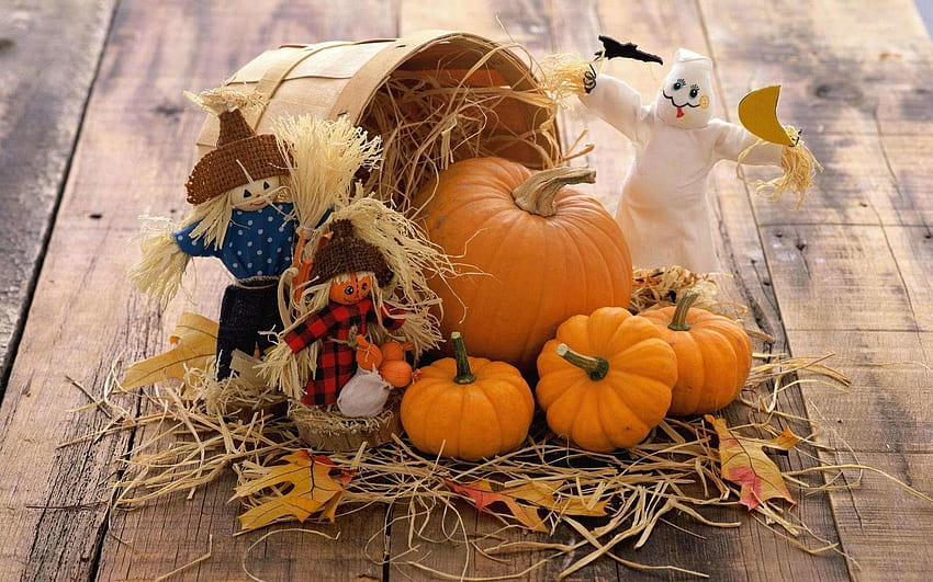 Cena de outono com abóboras, abóboras e cesta papel de parede HD