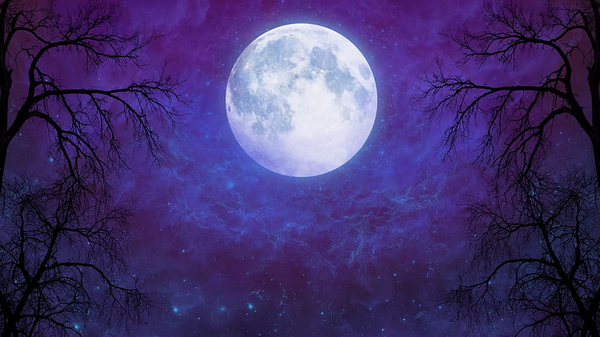 24 Moon, moon full screen HD wallpaper