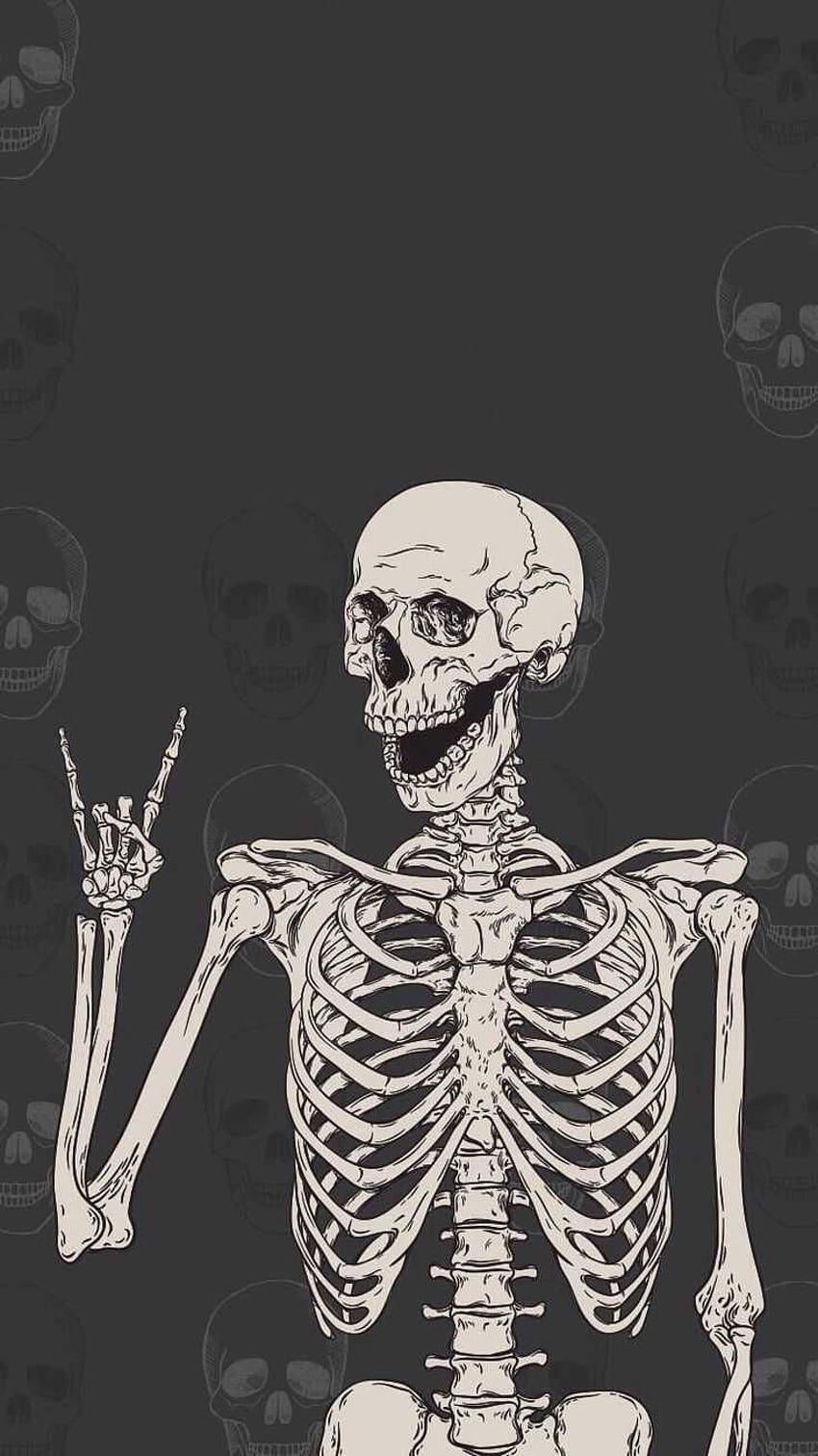 Скелет Открийте още кости, рамка, човешки скелет, максимум, скелет. https://www.wptunnel.co…, човешки кости HD тапет за телефон