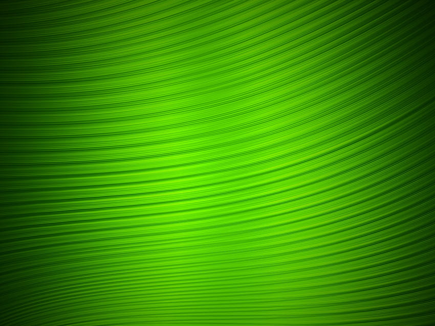 สีเขียว 10, ตัวบ่งชี้ วอลล์เปเปอร์ HD