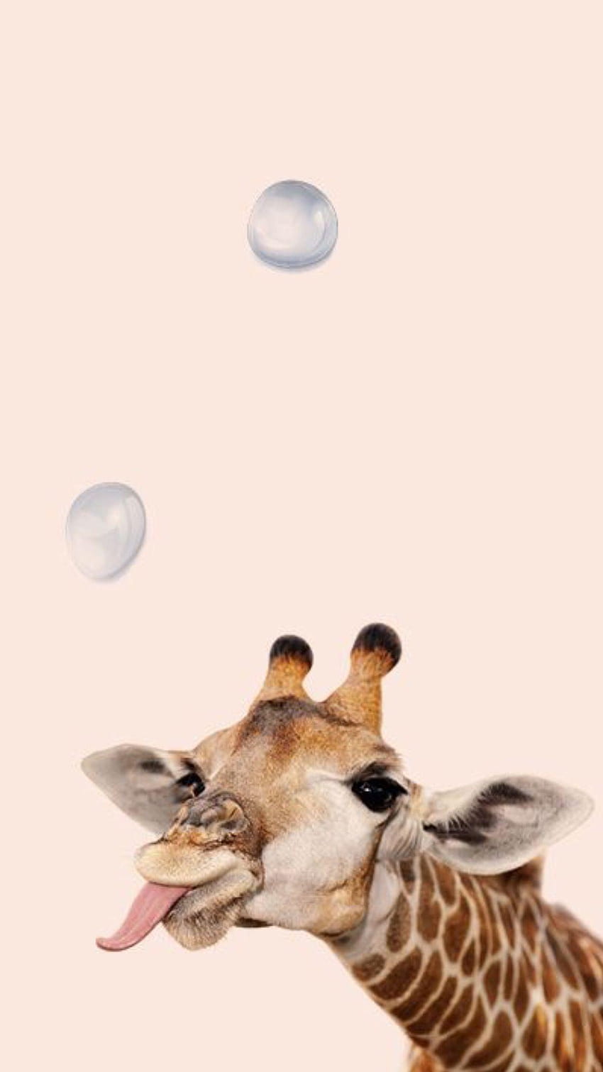 Giraffa giocosa con bolla, animale estetico Sfondo del telefono HD