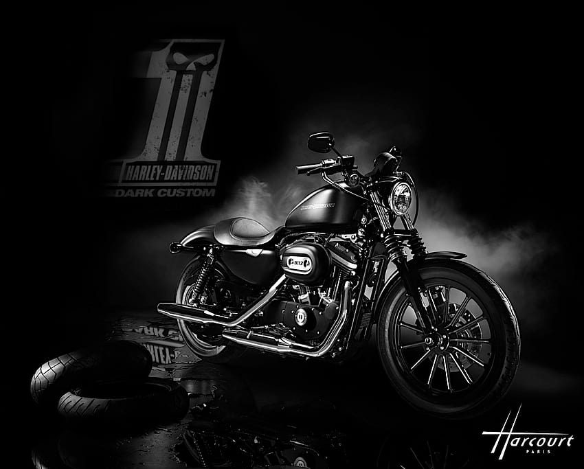 Harley Sportster Nightster Custom, harley davidson nightster HD wallpaper |  Pxfuel