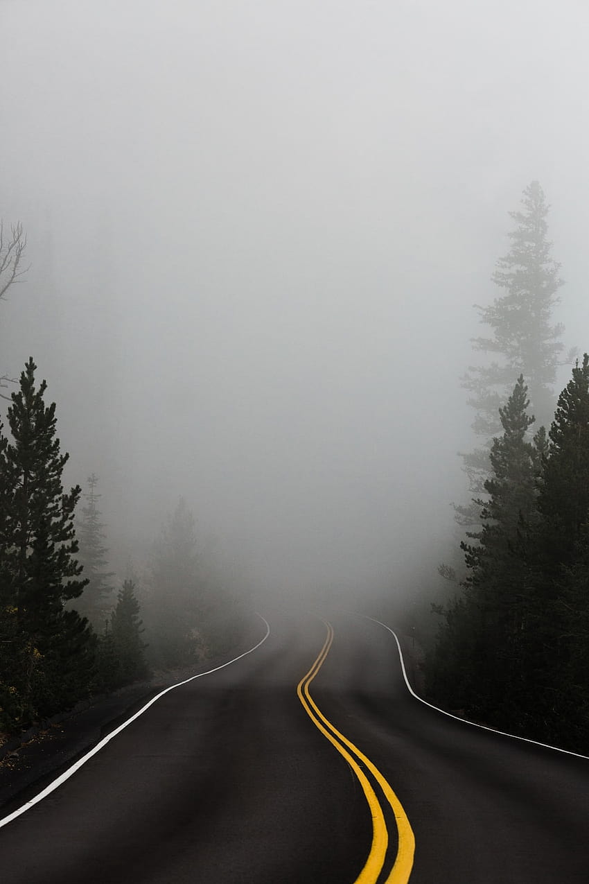 Fog Road, foggy road HD phone wallpaper
