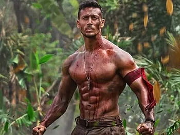Tiger Srofin Porn - Tiger Shroff Shares An Action Packed Glimpse Of 'Baaghi 2' Climax; Says  'some Of The Blood On That Wall Was Real'. Hindi Movie News Times Of India  HD wallpaper | Pxfuel