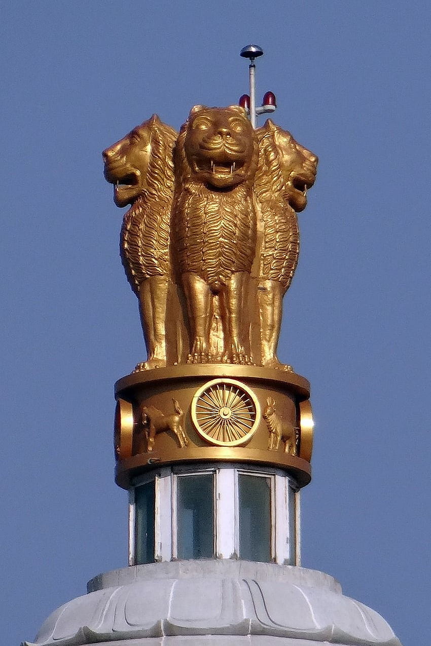Emblema Nacional Lion Capital, emblema indio fondo de pantalla del teléfono