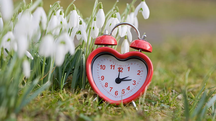When is daylight saving time? Important reminder to spring ahead this weekend, daylight saving time 2021 HD wallpaper