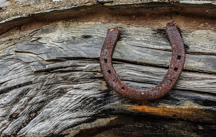 background, wall, horseshoe , section разное, horse shoes HD wallpaper