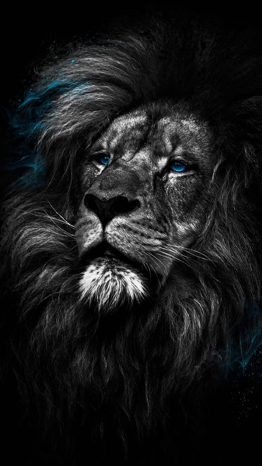 Lion Dark Amoled Android Black ⋆ Traxzee, lion android HD phone wallpaper