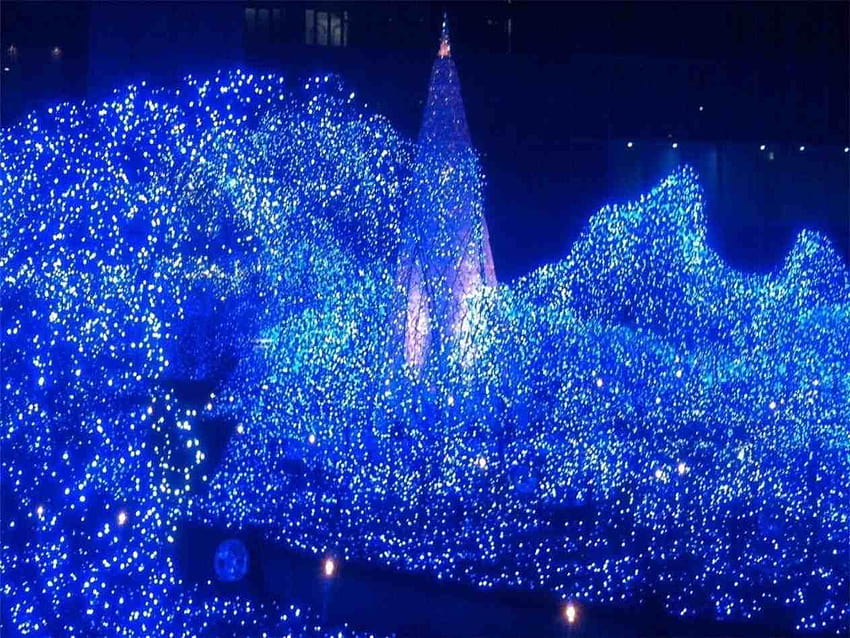 Blue christmas tree, christmas lights blue HD wallpaper | Pxfuel