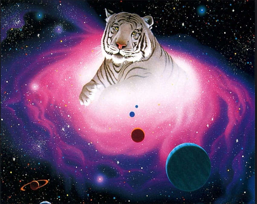 Galaxy Tiger on Dog, space tiger HD wallpaper