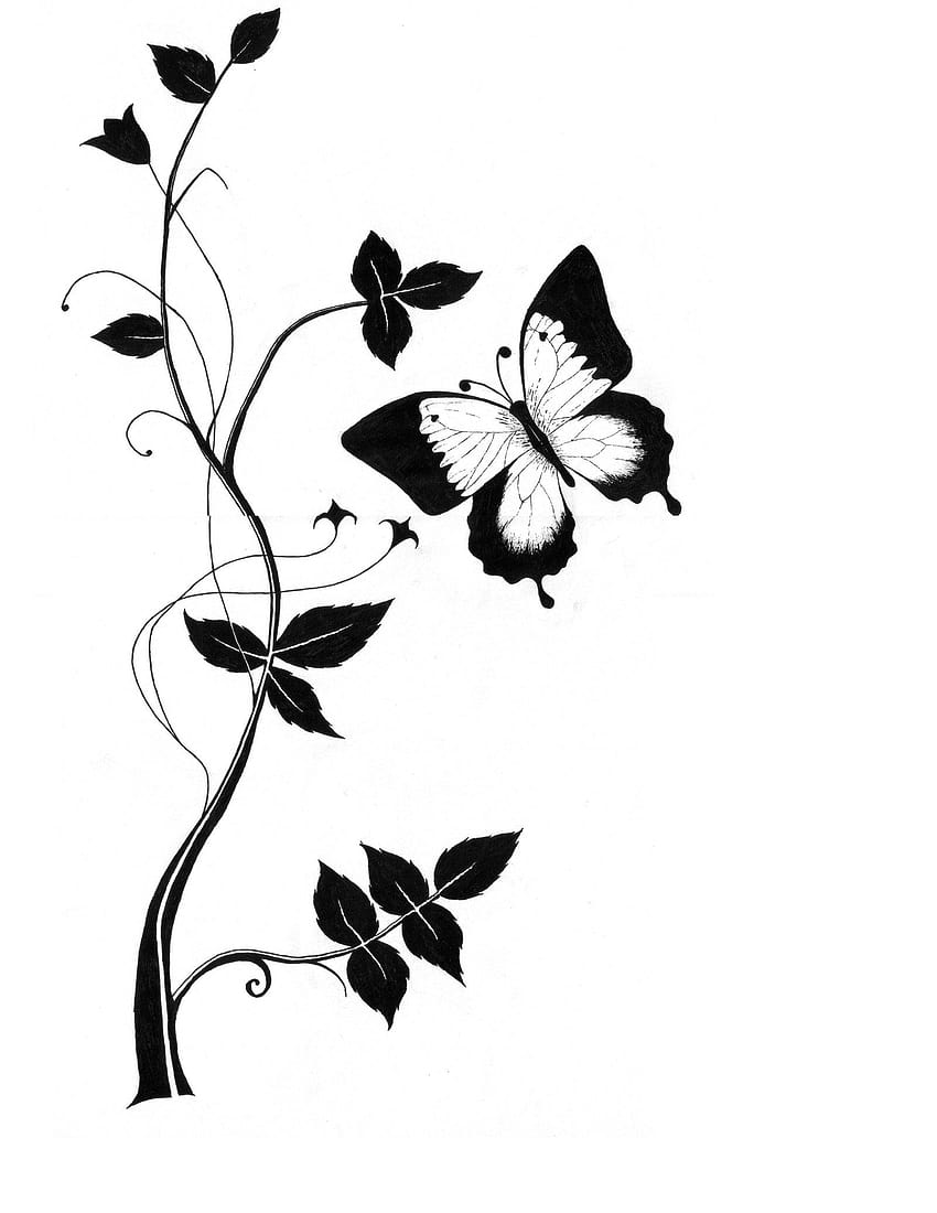 pencil drawing butterfly easy, easy pencil drawings HD phone wallpaper