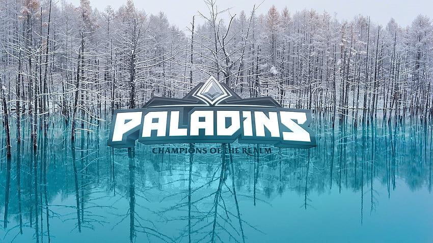 Paladins champions of the Realm logo, Paladin, spes salutis HD wallpaper