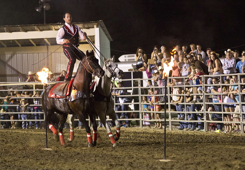 equine, fire, horses, night time, performer, rodeo, roman rider, trick riding HD wallpaper