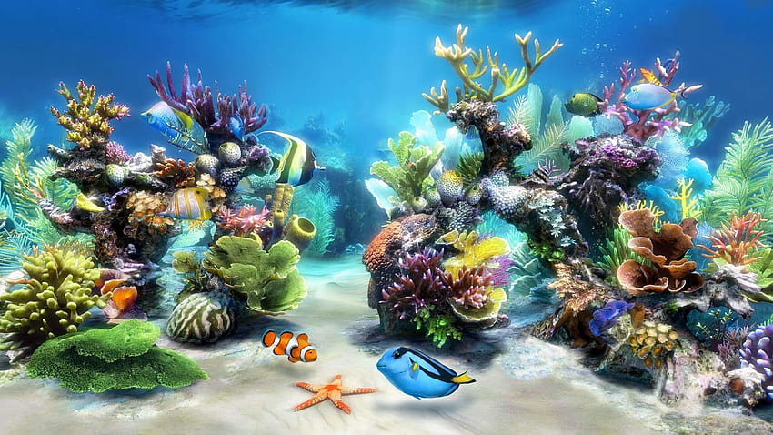 3D Fish Tank, fish aquarium HD wallpaper