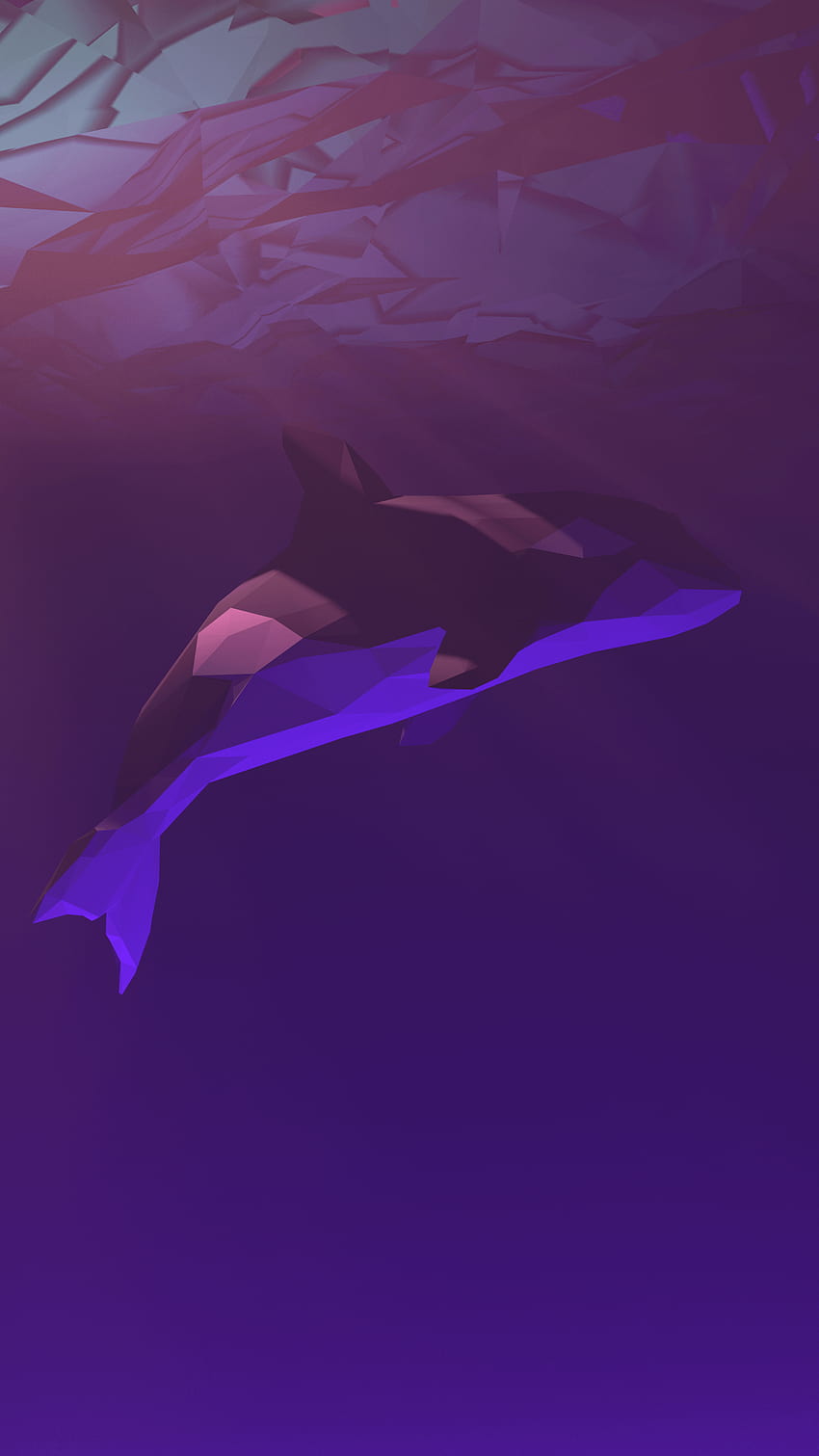 Pin auf Killerwale HD-Handy-Hintergrundbild