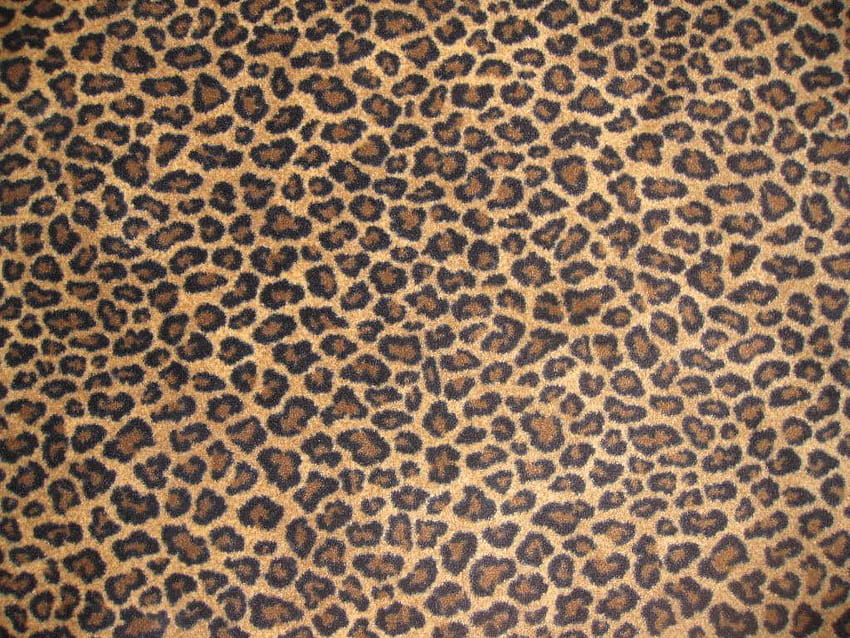 Artwork of Cheetah Print Rugs Bringing an Affectionate and a HD wallpaper