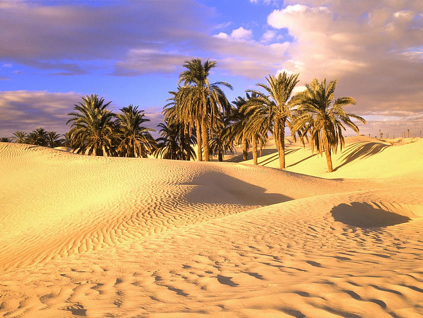 Tunisia Desert, egypt map sahara desert HD wallpaper