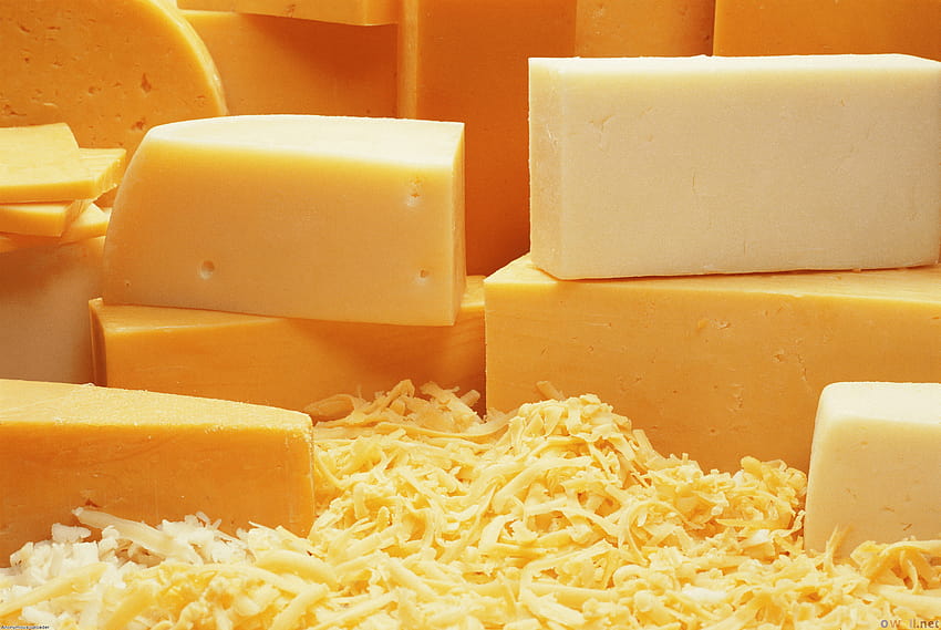 Cheese HD wallpaper