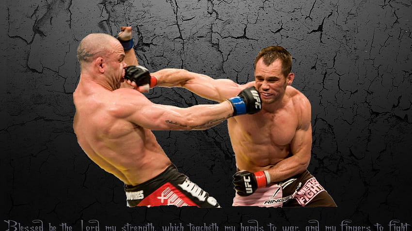 : UFC, удар, wanderlei silva, Rich Franklin, мускул, ръка, гърди, борец, професионален бокс, sanshou, поразителни бойни спортове, удар 1920x1080 HD тапет