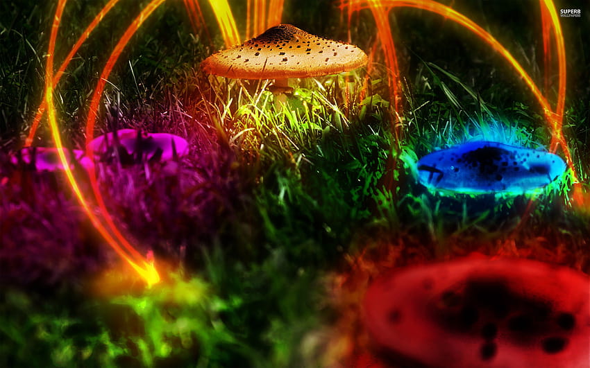 ID: 104853 / psychedelic, jamur, seni fantasi, penuh warna, jamur trippy Wallpaper HD