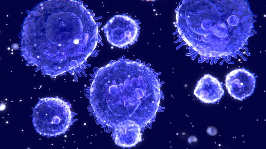 Wie MS das Immunsystem beeinflussen kann – Über MS™: Immunität HD-Hintergrundbild