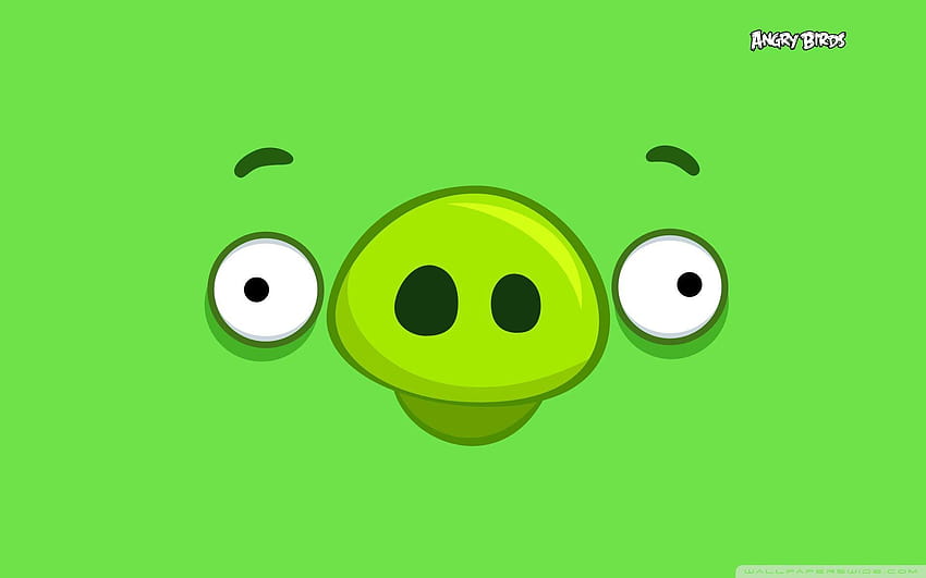 Angry Birds Pig Happy ❤ für Ultra TV, gelbes Schwein HD-Hintergrundbild