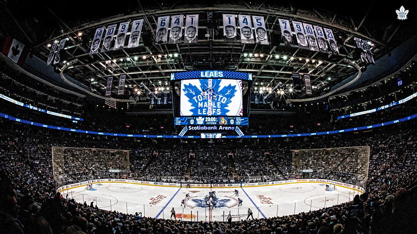 Toronto Maple Leafs Twitter'da:, 2021 Toronto Maple Leafs HD duvar kağıdı