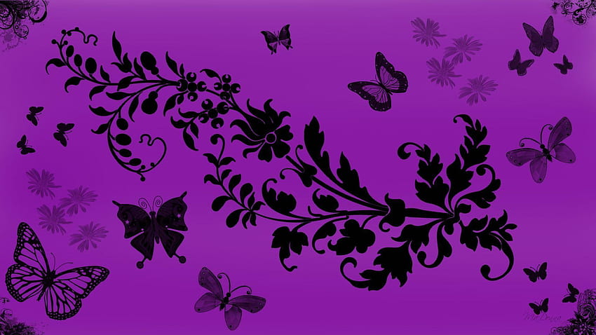 Fundos de borboleta roxa, linda borboleta roxa papel de parede HD
