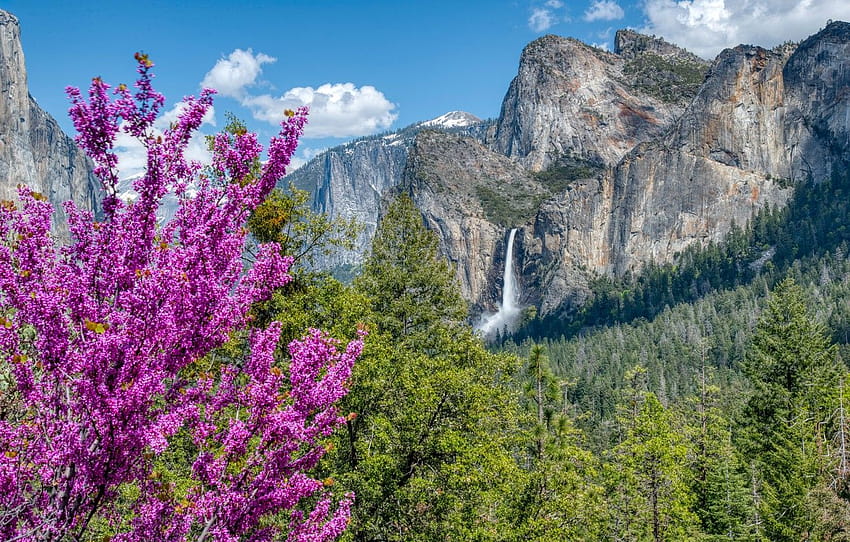 trees, mountains, waterfall, CA, California, Yosemite, yosemite spring HD wallpaper