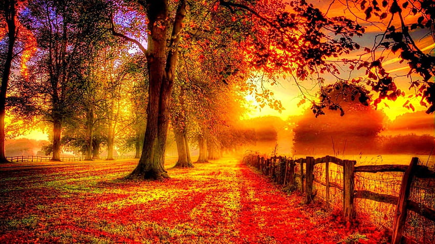 Nature & Landscape Season Autumn, of nature colors HD wallpaper | Pxfuel