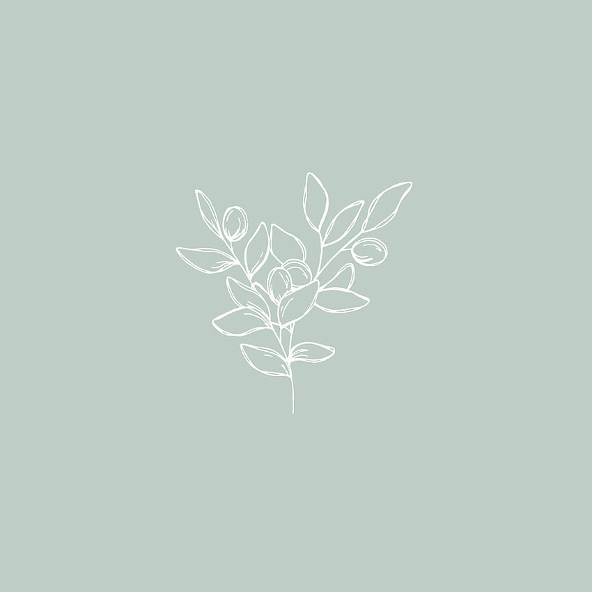 Botanical Sketch Vector Illustration, minimal drawing flower HD phone wallpaper