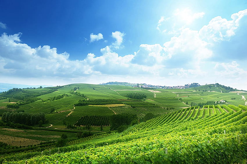 Italy Piedmont Nature Sky Fields Scenery HD wallpaper