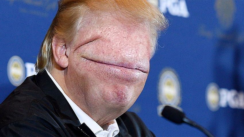 L'idéal platonicien de Donald Trump, Donald Trump meme Fond d'écran HD