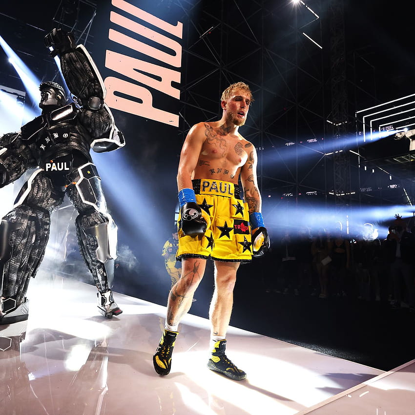 Jake Paul targeted by several MMA fighters after Ben Askren knockout, including Tyron Woodley, BJ Penn, Dillon Danis, jake paul boxing HD phone wallpaper