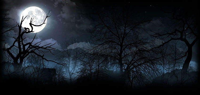 BITEFIGHT fantasy mroczny horror wampir wilkołak potwór online mmo, ciemny las z księżycem Tapeta HD