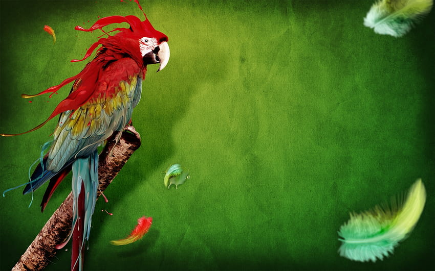 Parrot for your or mobile screen and easy to HD wallpaper | Pxfuel