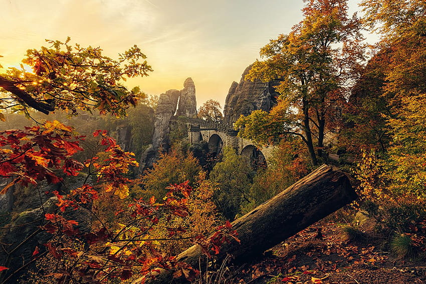 Laub Deutschland Sachsen Felsen Natur Herbst Geäst Bäume, Deutschland herbstlich HD-Hintergrundbild