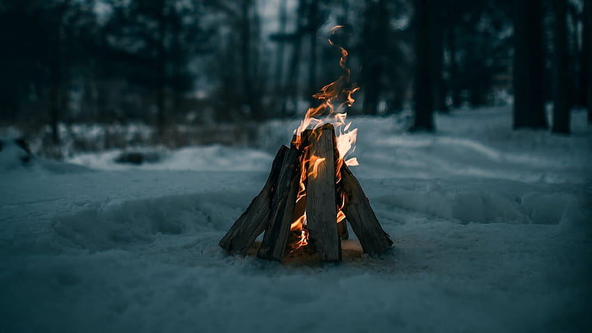 Сняг, зима, голям огън, огън, дърва за огрев, зимен лагерен огън HD тапет