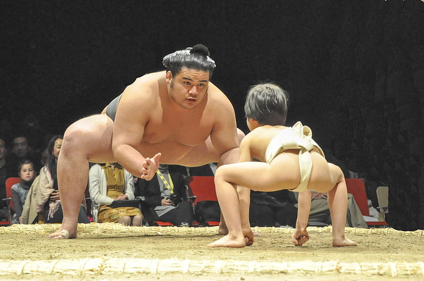 Sumo Wrestler High Quality, sumo wrestlers HD wallpaper