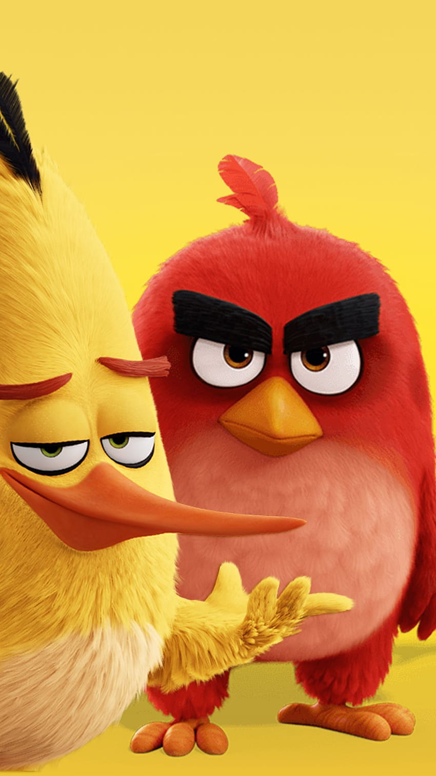 mobile angry birds HD phone wallpaper