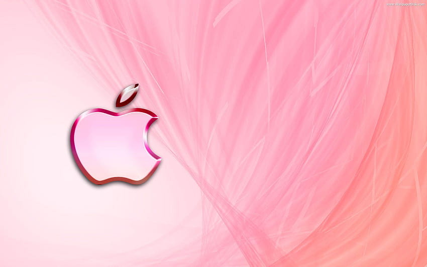 Download Pink Strip Apple Logo Iphone Wallpaper  Wallpaperscom
