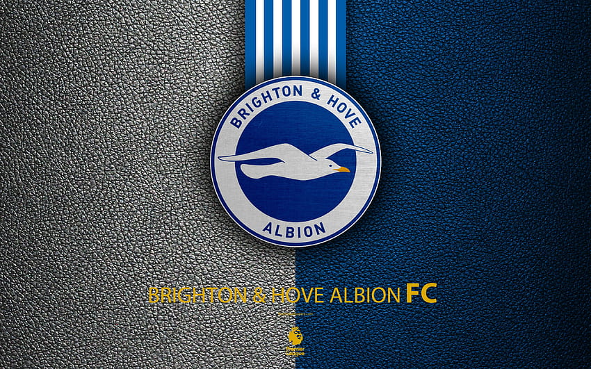 Brighton et Hove Albion FC, Anglais, Brighton Hove Albion FC Fond d'écran HD