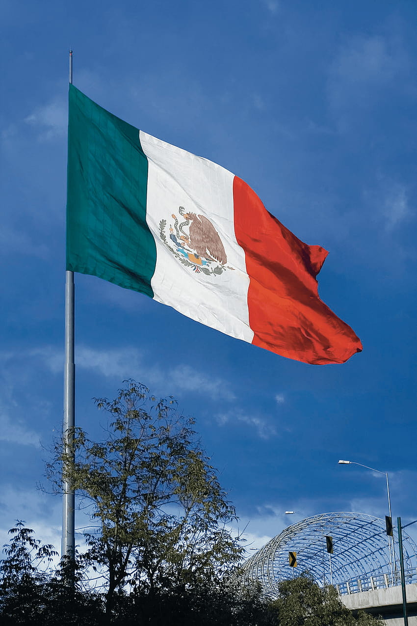 Mexico Flag, mexico vs america flag HD phone wallpaper
