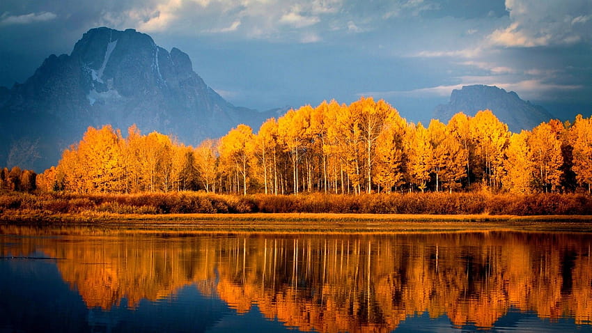 Autumn Trees On Lake, Nature, Backgrounds, and HD wallpaper | Pxfuel