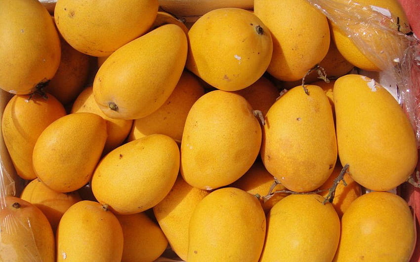 4 Mango , Quality Mango , Mango HQFX HD wallpaper