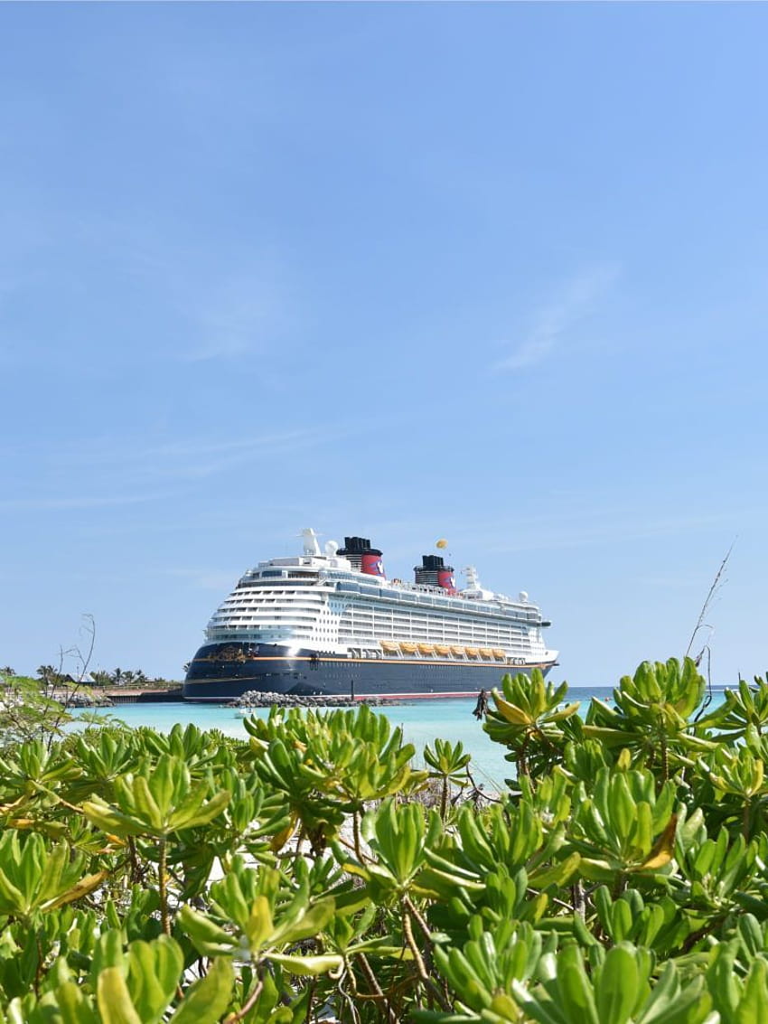 Disney Cruise Line Digital HD phone wallpaper
